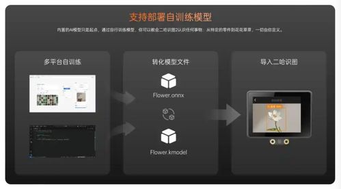 蘑菇云榮膺教育強(qiáng)國(guó)論壇2025年度科技創(chuàng)新教育品牌，以創(chuàng)新產(chǎn)品賦能人工智能通識(shí)教育與應(yīng)用軟件開(kāi)發(fā)